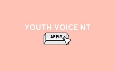 Youth Voice NT Internship