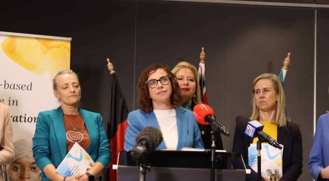 Katherine Women’s Legal Service, NTCOSS weigh in on national DV plan