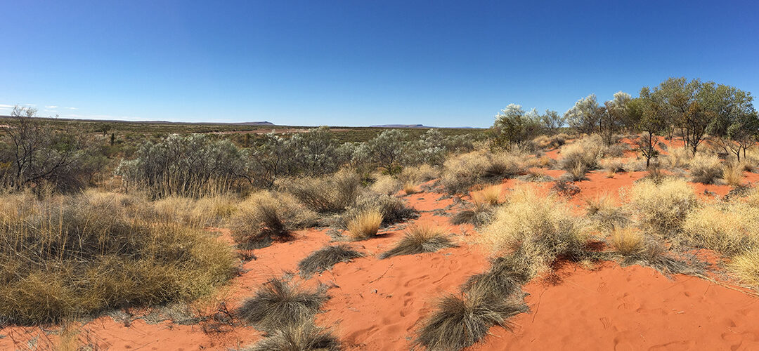SafeTALK – Alice Springs