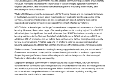 Media Release: Responds to 2025 NT Budget: Positive Steps Acknowledge, Gaps Remain