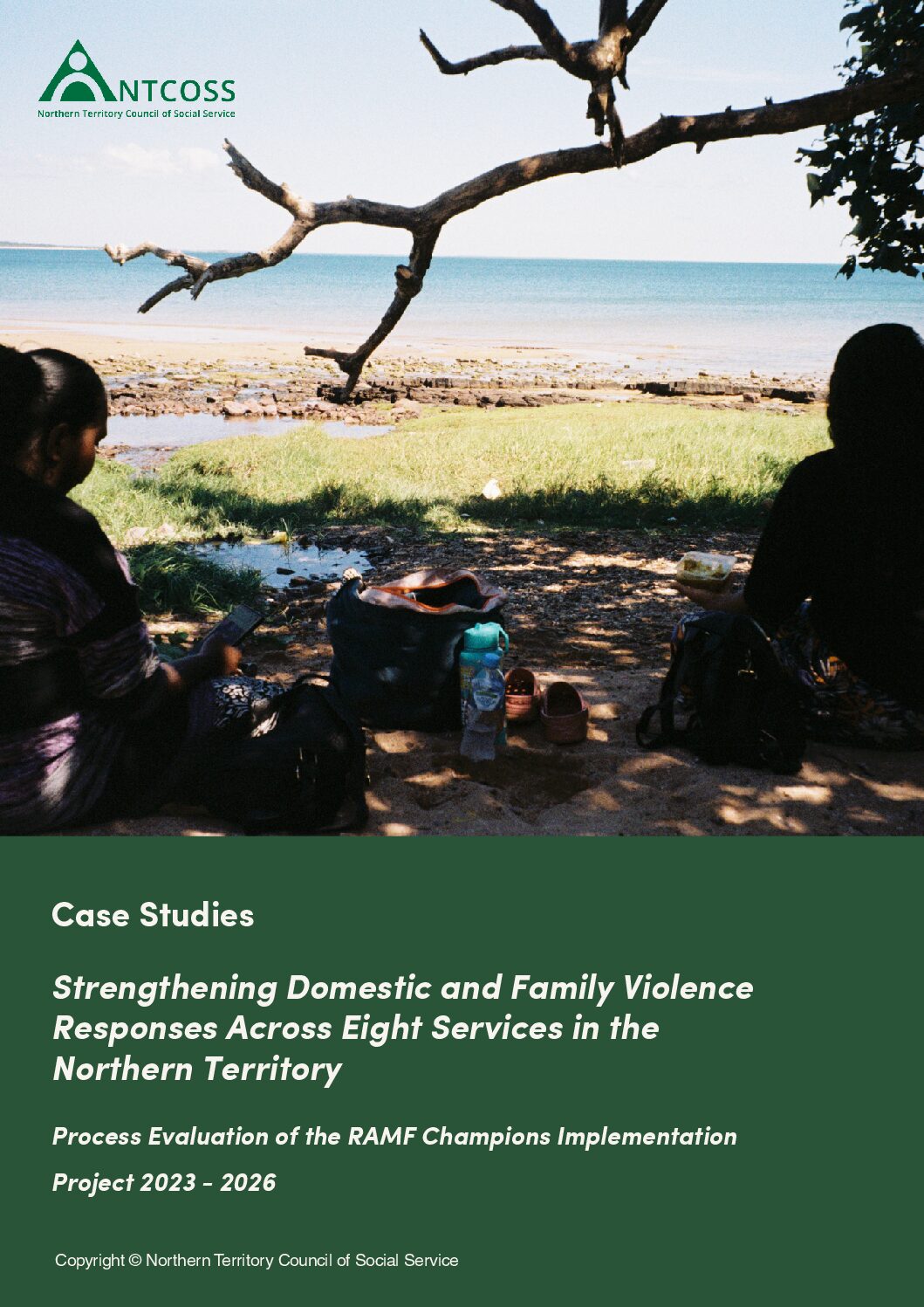 2026 RAMF Champions Case Studies Evaluation Document