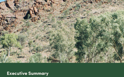 2026 Executive Summary Evaluation Report RAMF Champions