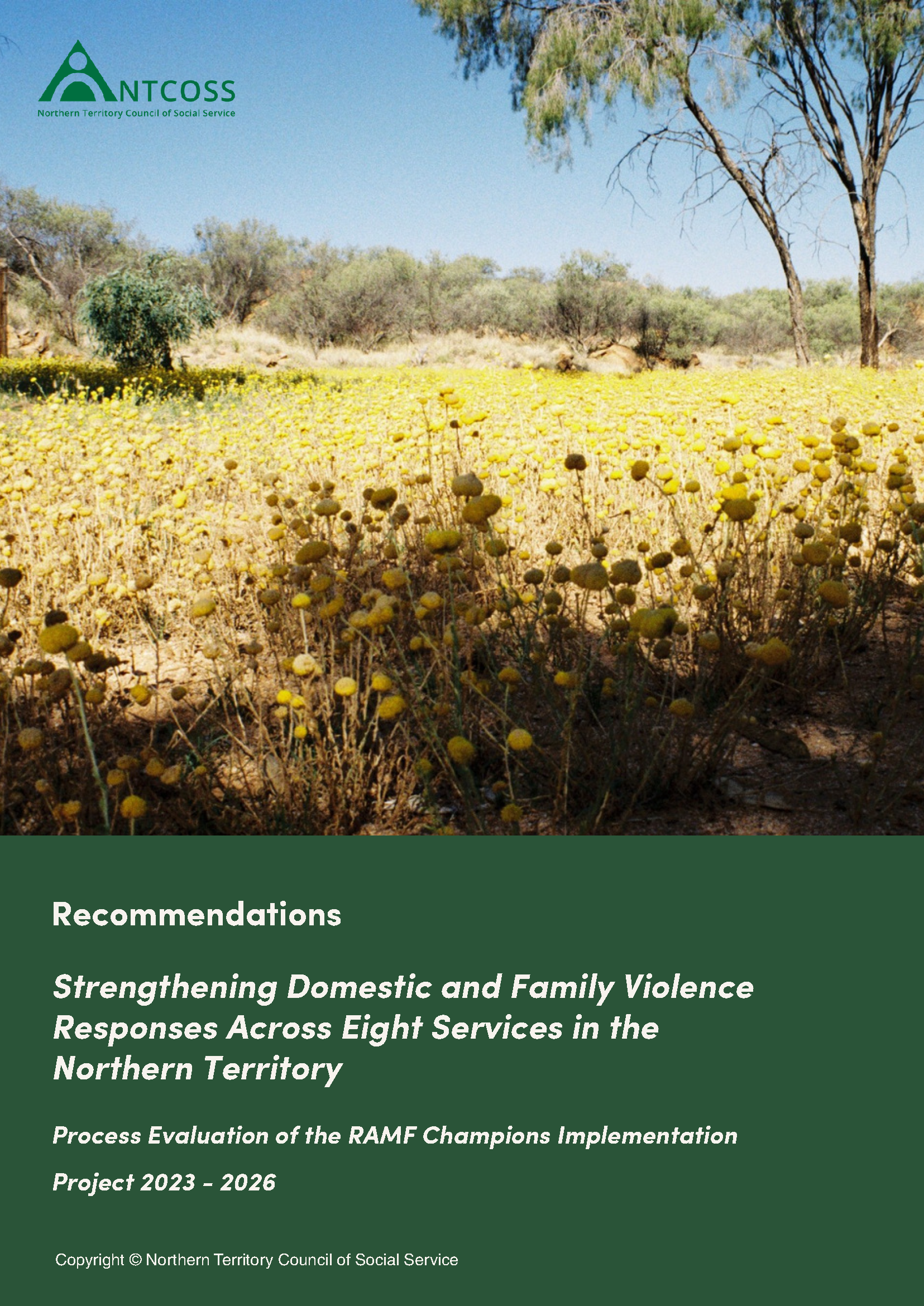 20260714_Recommendations_Evaluation_Report_RAMF_Champions_2026_NTCOSS_IMAGE